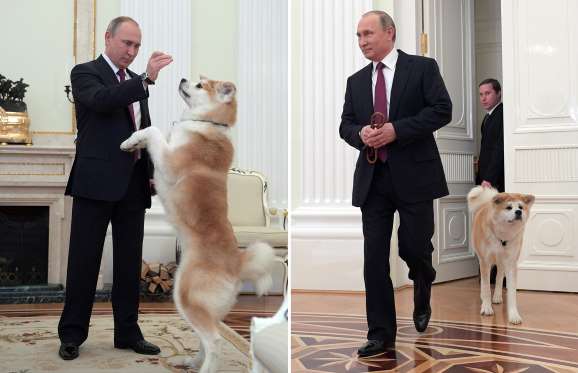 Putin introduces journalists to his Japanese dog