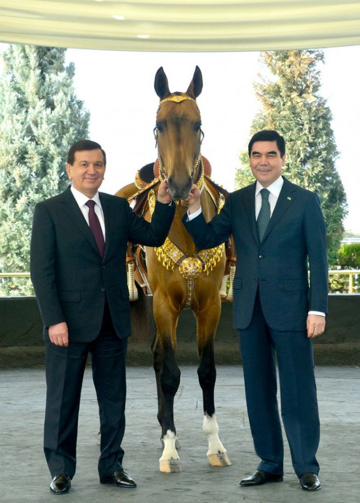 Berdymuhamedov presents akhalteke horse to President of Uzbekistan