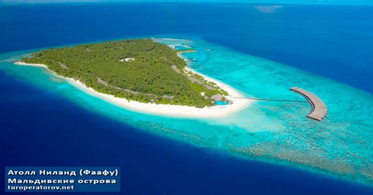 Maldives government rejects claims it is selling off atoll to Saudi Arabia
