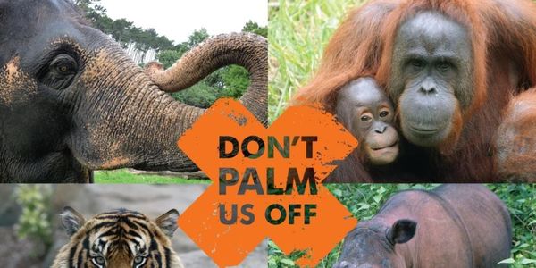 Teresa Kok criticises ‘sensationalised’ signs on palm oil at Singapore Zoo
