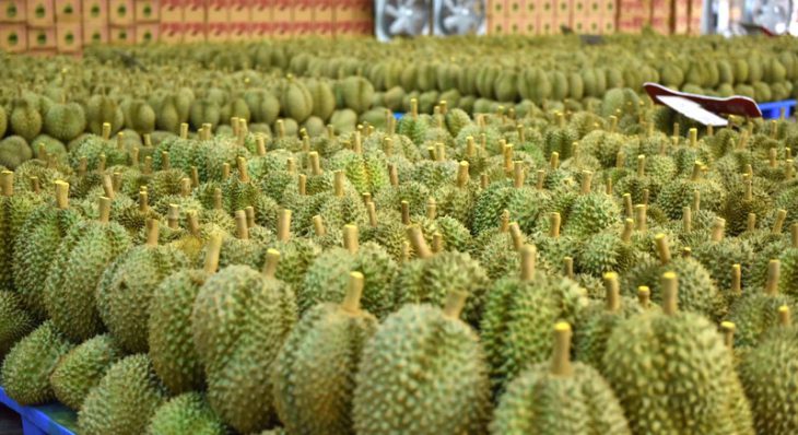 Durian price dips as supply of King of Fruits increases