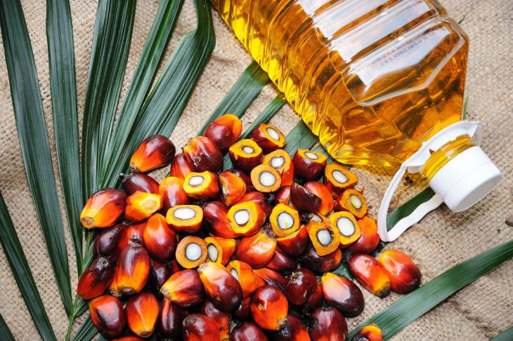 Dr M suggests asking European countries to stop tarnishing palm oil