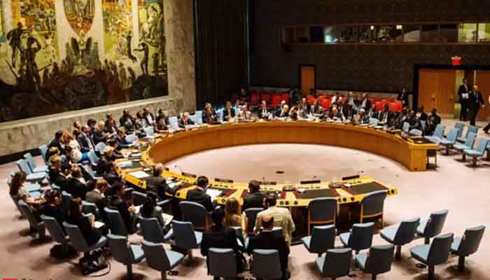 Pakistan supports India at UNSC polls