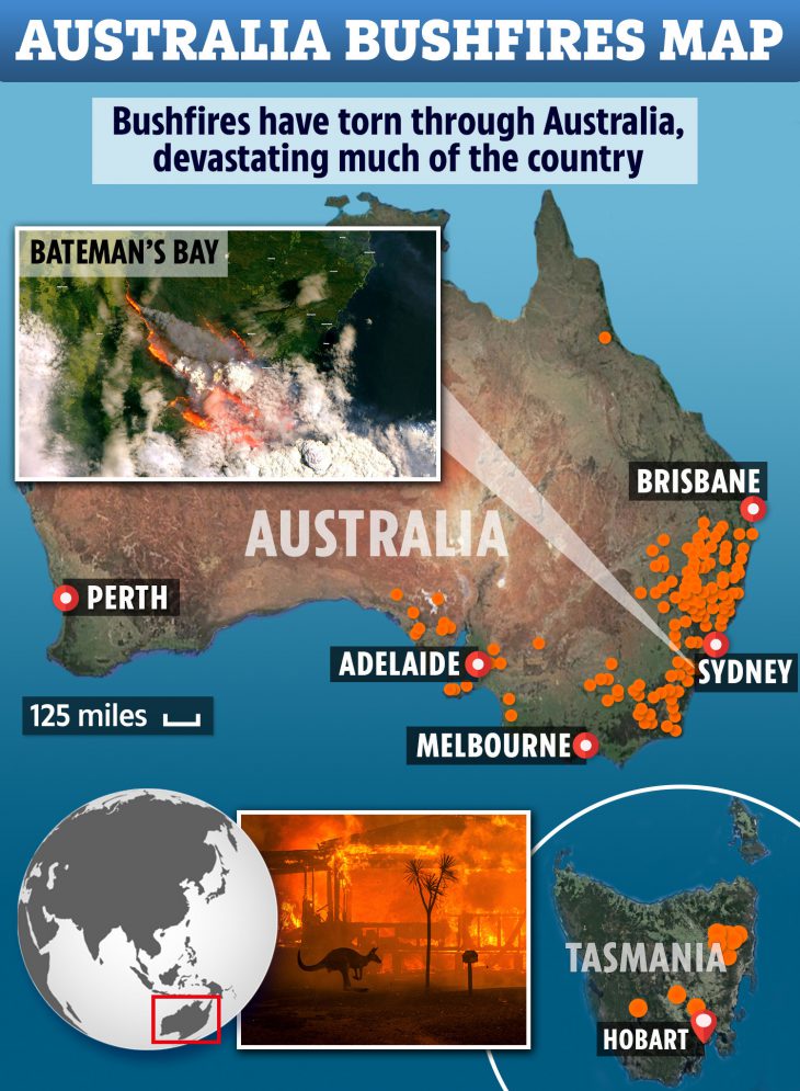 State of SOS for all of us about upcoming climate change impact: Bushfires destroy Australian wildlife