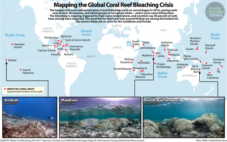 Great Barrier Reef suffers worst mass coral bleaching
