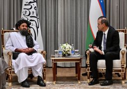 Uzbekistan and Afghanistan: A New Era of Limited Recognition
