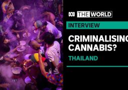 No more a weed capital pf Asia: Thailand  “re-bans” marijuana: the country was the first in Asia to legalize narco-business