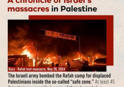 Turkish expert: 75-80% of the Israeli population justifies the massacres in Palestine 