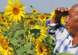 Turks claim: we are №7 in agricultural output in the World – $74 billion in 2024