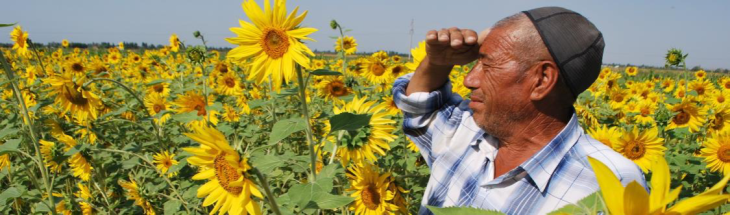 Turks claim: we are №7 in agricultural output in the World – $74 billion in 2024