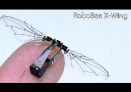 Bee-size drones developed by MIT in US:and China catched up already. With AI, where this could lead Humanity and could end? :(