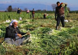 From 6.9 in Feb. 2021 to 40.5 in Aug. 2025: Diary of a debt crisis: How the sunking lira sank a Turkish entrepreneur