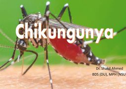 Chikungunya is new COVID?: 9000 fell sick, as China fights mosquito-borne chikungunya virus