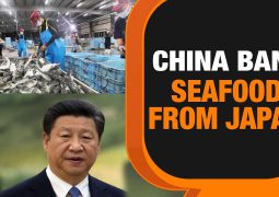 Beijing keeps coming after  Sanae Takaichi: after tourism ban, this time China bans seafood import from Japan