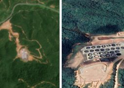 Malaysia suspends rare earths, tin mining operations after river water turns blue