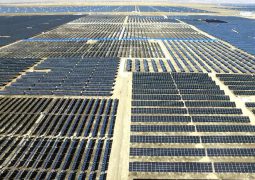 2022 Opinion: Where they are now!? America Can’t Allow China to Keep Crushing Our Solar Energy Industry
