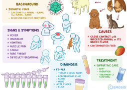 Nipah virus spreads from India, source of infection not fully understood