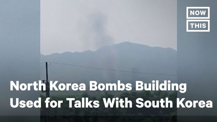 North Korea from Mars, South Korea from Venus: no chance of improved ties says Kim’s sister