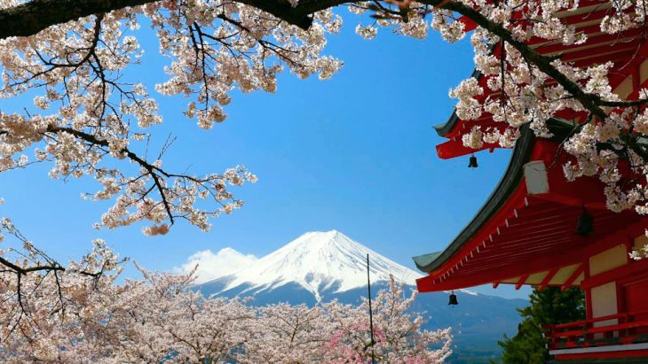 Overtourism: the cherry blossom festival cancelled at Arakurayama Sengen Park and views pagoda against a Mount Fuji