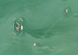 Against West: Will Kazakhstan’s share (10%, 16,88% and 20%) in Kashagan, Karachaganak and Tengiz to increase through ongoing litigation?