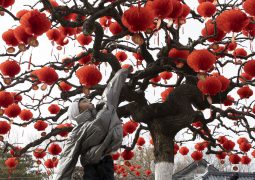 Lunar New Year Guide into the Year of the Horse