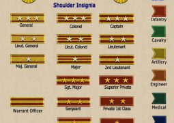 “Issa” or “Taisa”, “Ittohei” or “Nitohei”: Calls to revive the ranks from imperial military days sounds lauder