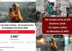 2 S’poreans in Israeli military-linked organisation in 2016 not involved in combat