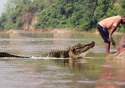 Dismembered body found after Sabah crocodile attack