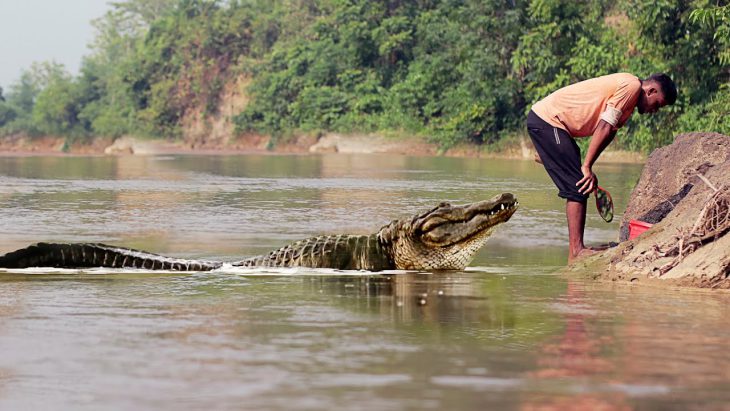 Dismembered body found after Sabah crocodile attack
