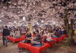 Fujiyoshida residents are fed up with crowds coming to see cherry blossoms and Mount Fuji