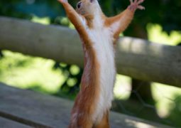 Chinese newspaper mocks Manila: South China Sea waters near the Philippines not a “West Philippine Sea,”