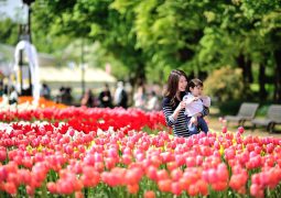 Tonami Tulip Gallery houses – perpetually blooms in Japan