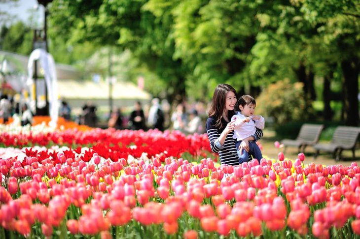 Tonami Tulip Gallery houses – perpetually blooms in Japan