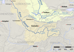 The Amu Darya Stress Is a Test for Uzbekistan and Turkmenistan Agriculture