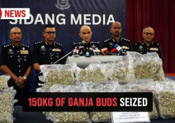 The Main Malaysian Airport, KLIA, in 2026 nets nets 653kg of cannabis buds