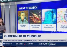 Bank Indonesia Governor Perry Warjiyo Resigns