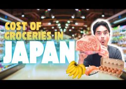 Japan wants cheap meat in South American Mercosur 4 states