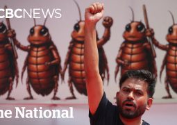 Modi forgives students who abused him in Cockroach protests