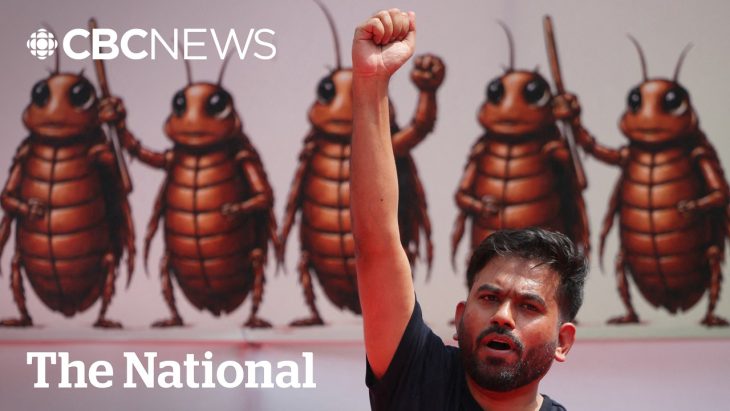 Modi forgives students who abused him in Cockroach protests