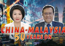 Malaysian PM Anvar reaffirms “One China” Policy regarding Taiwan: Taipei is unhappy