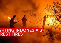 Indonesian fire pollutants potentially moving towards Malaysia