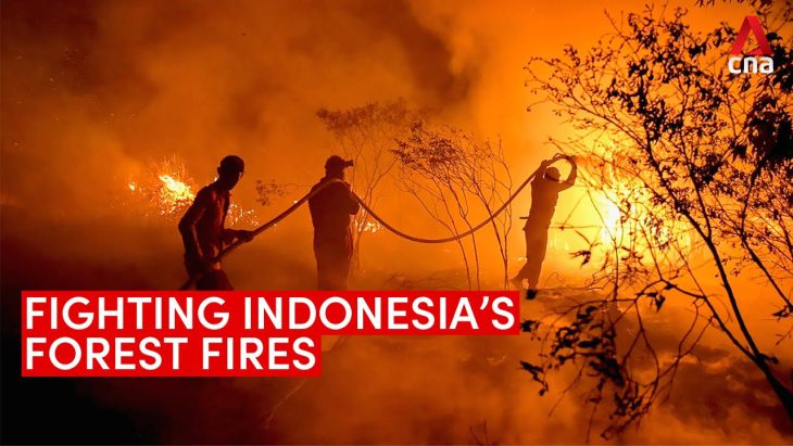 Indonesian fire pollutants potentially moving towards Malaysia