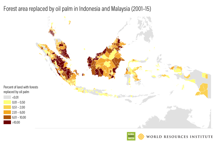 Indonesia needs to grow more rice, corn and sugar. Can its forests survive?