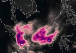 Haze in Malaysia: King, Queen urge Malaysians to wear masks amid smoke from Kalimantanhaze