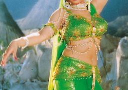 Crisis in Bollywood or political nationalistic Hindu narrative is set on: Telugu film needs to be pan-India