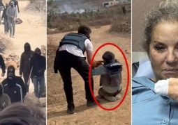 Israeli settlers carried out 178 attacks on 88 communities, more than 6,000 olive trees and saplings vandalized