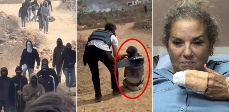 Israeli settlers carried out 178 attacks on 88 communities, more than 6,000 olive trees and saplings vandalized