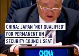 China – Japan is out: UN Security Council reform should address over-representation of developed countries