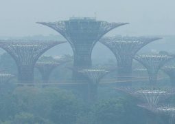 Singapore widens haze probe to local firms linked to Indonesian fires
