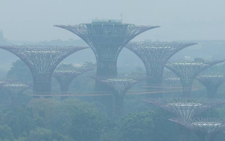 Singapore widens haze probe to local firms linked to Indonesian fires